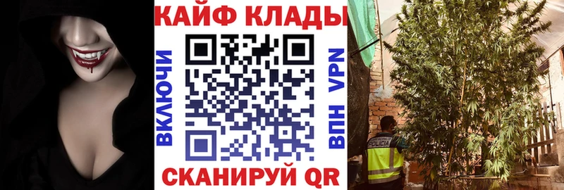 Какие есть наркотики Санкт-Петербург СОЛЬ  КОКАИН  ГАШ  Псилоцибиновые грибы  Конопля 