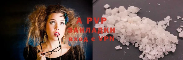 трава Белокуриха