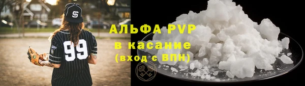 трава Белокуриха