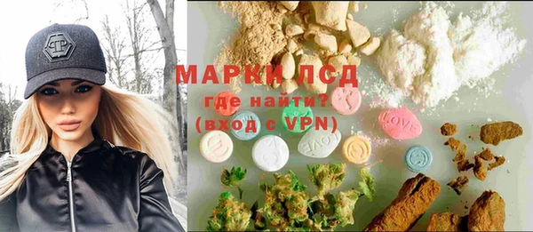 трава Белокуриха