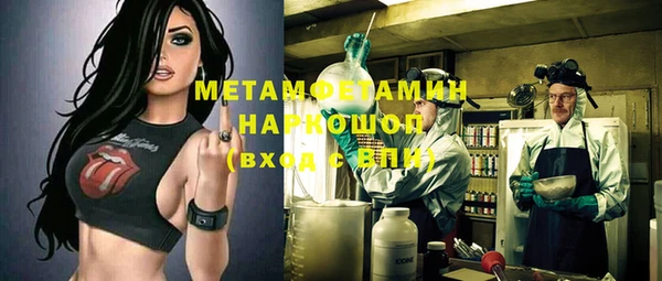 трава Белокуриха