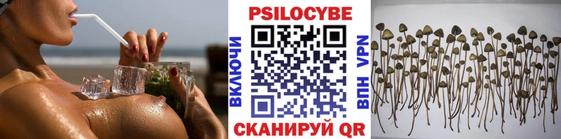 mega как зайти  Санкт-Петербург  Псилоцибиновые грибы MAGIC MUSHROOMS 