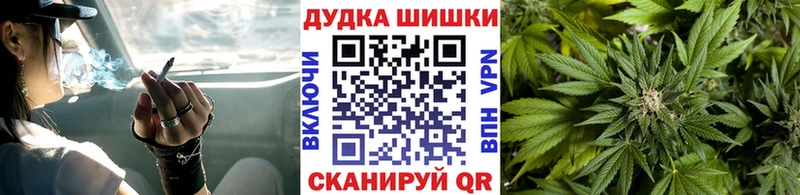 где продают наркотики  ОМГ ОМГ зеркало  Марихуана план  Санкт-Петербург 